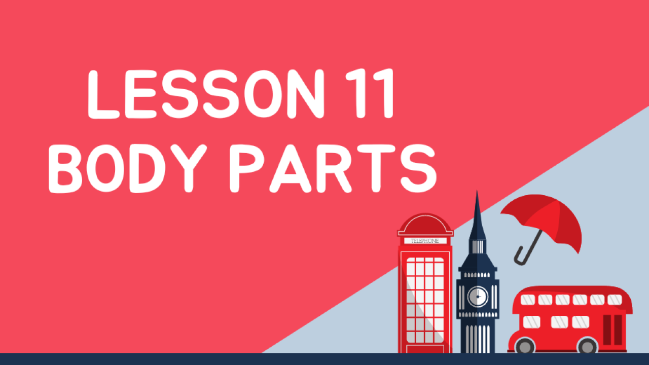 Anglų kalba:  pamoka 11 – Body parts
