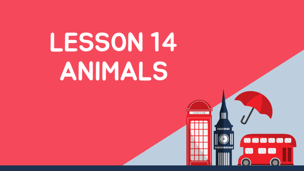 Anglų kalba:  pamoka 14 - Animals